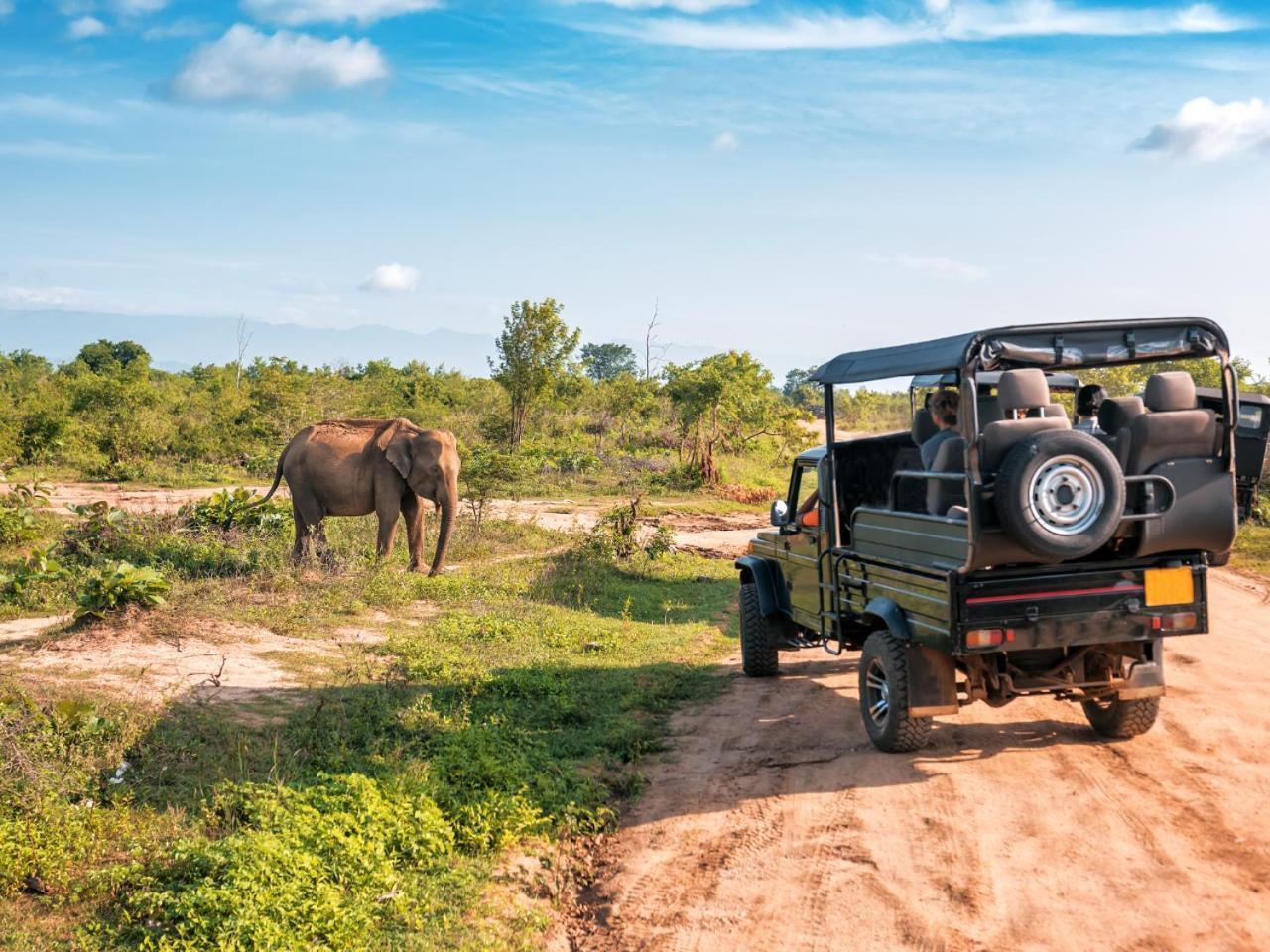 Ekhaya Bush Lodge Hoedspruit Zewnętrze zdjęcie